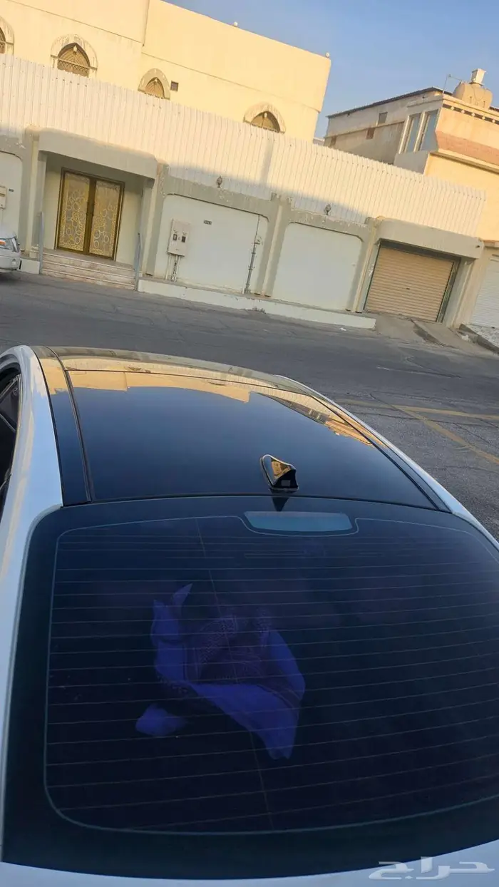 كادينزا k7 2020 19