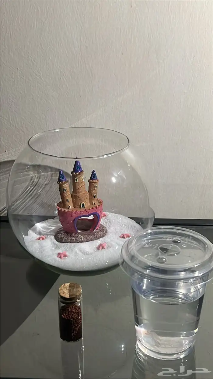 سمك فايتر ( زينه ) 3