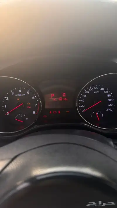 كرنفال 2018 للبيع 12