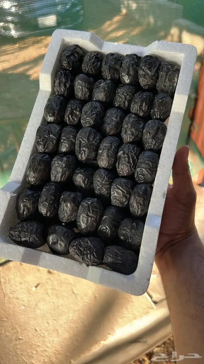 عجوه فاخره ماشاء الله جديده من المزرعه 0