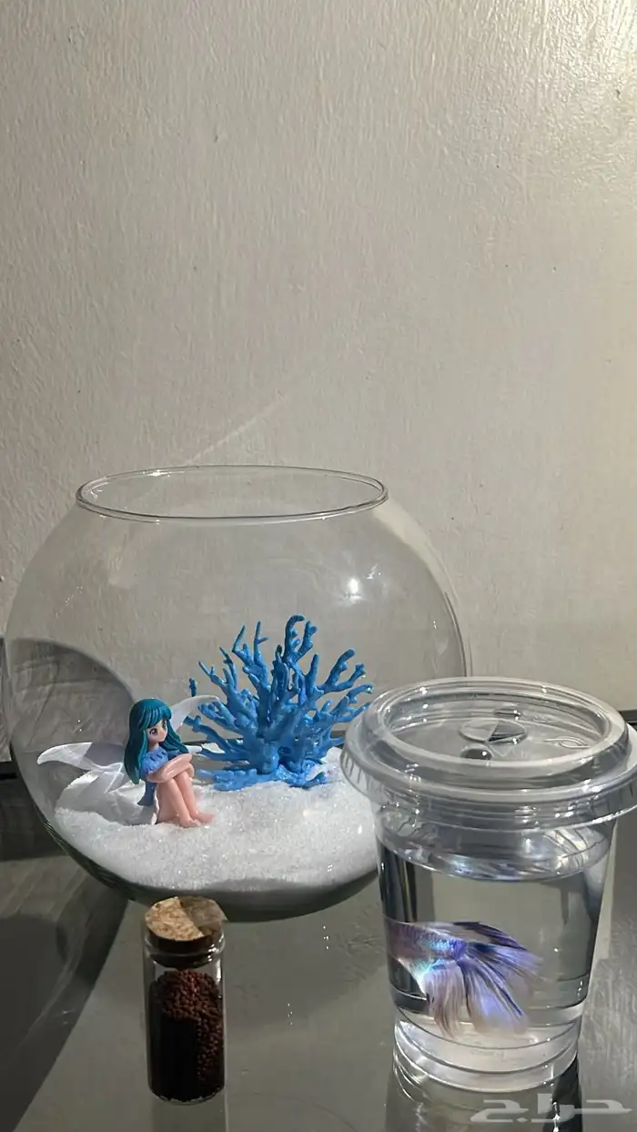 سمك فايتر ( زينه ) 1