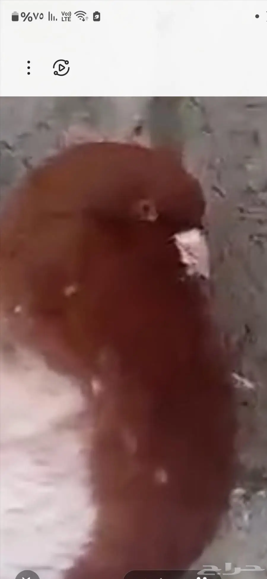 مجموعة حمام مودينا 10 حبات 0