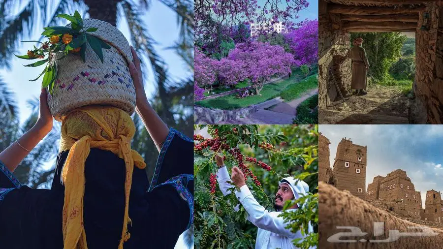 مصمم لوقو تجاري لوجو شعار هوية بصرية جرافيك 3
