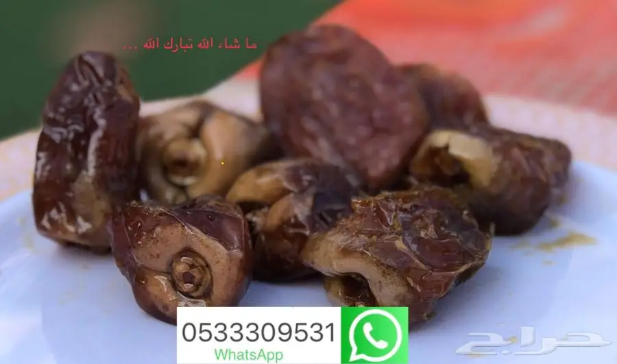 تمر شيشي طعمه زين متبقي كرتونين عنيزة 1