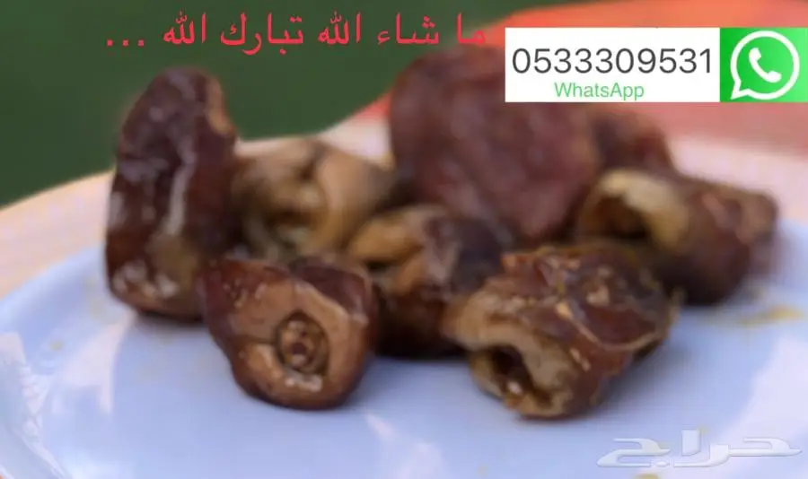 تمر شيشي طعمه زين متبقي كرتونين عنيزة 2