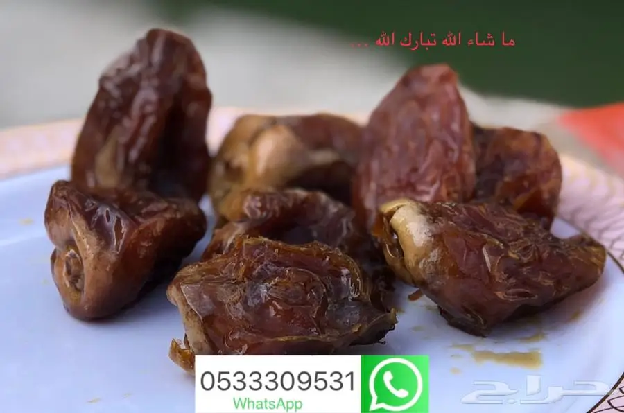 تمر شيشي طعمه زين متبقي كرتونين عنيزة 0