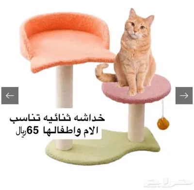 المجارده 2