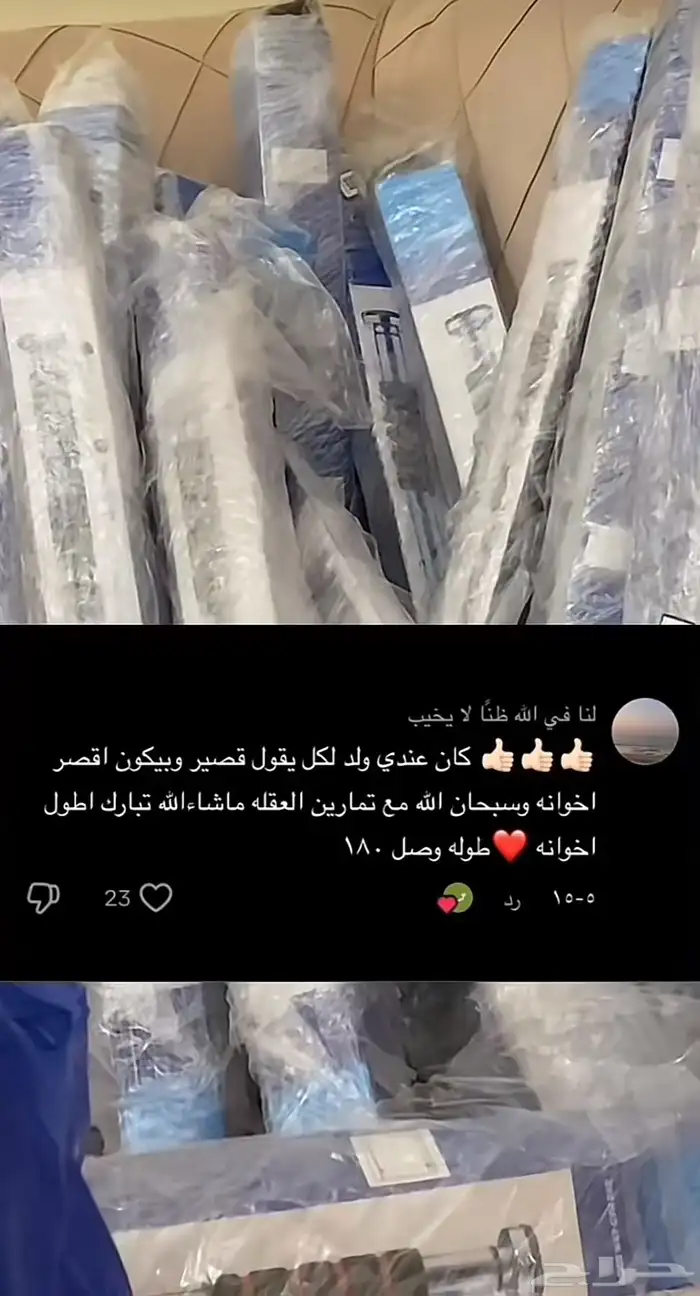 مورينجا النمو. المعجزة لزيادة الطول 3