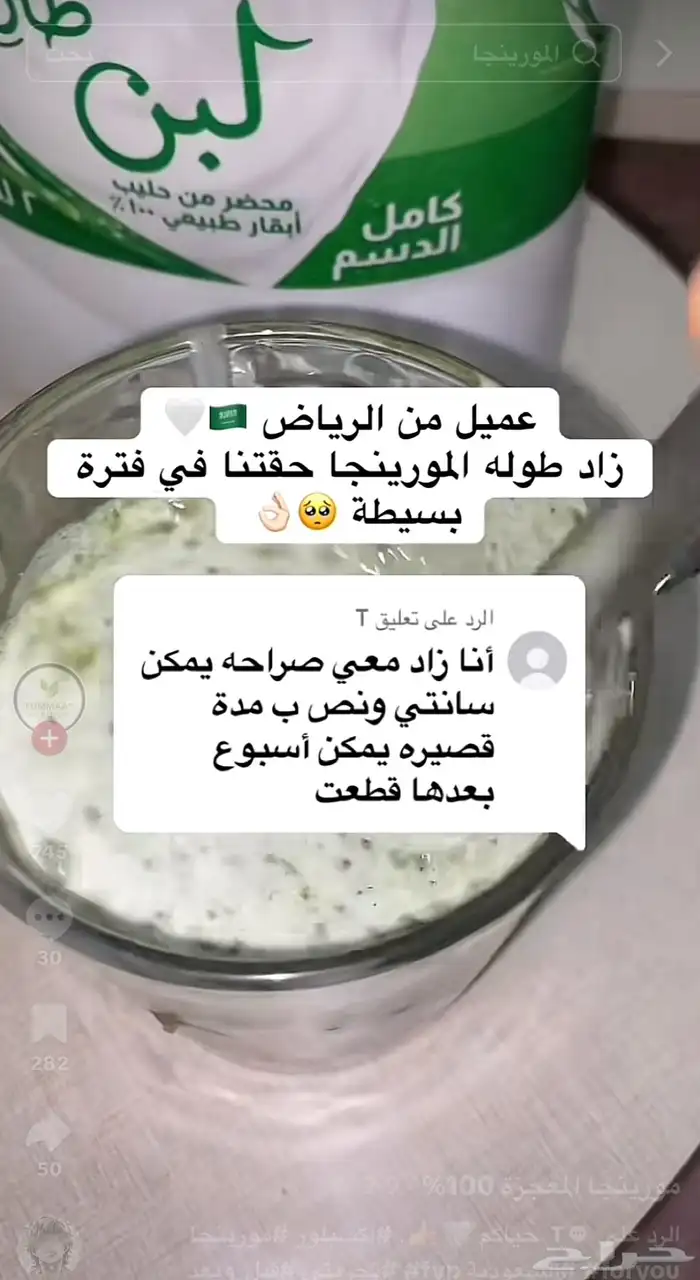 مورينجا النمو. المعجزة لزيادة الطول 4