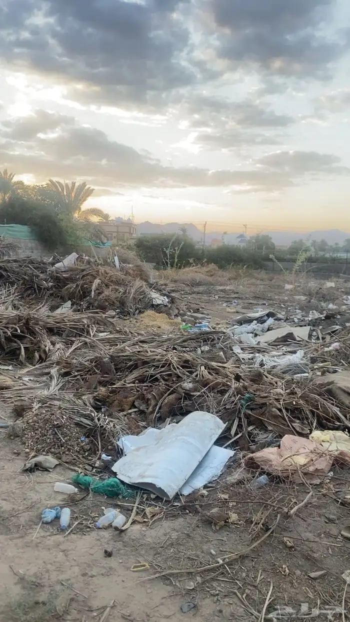 حطب و خوص للبيع 2