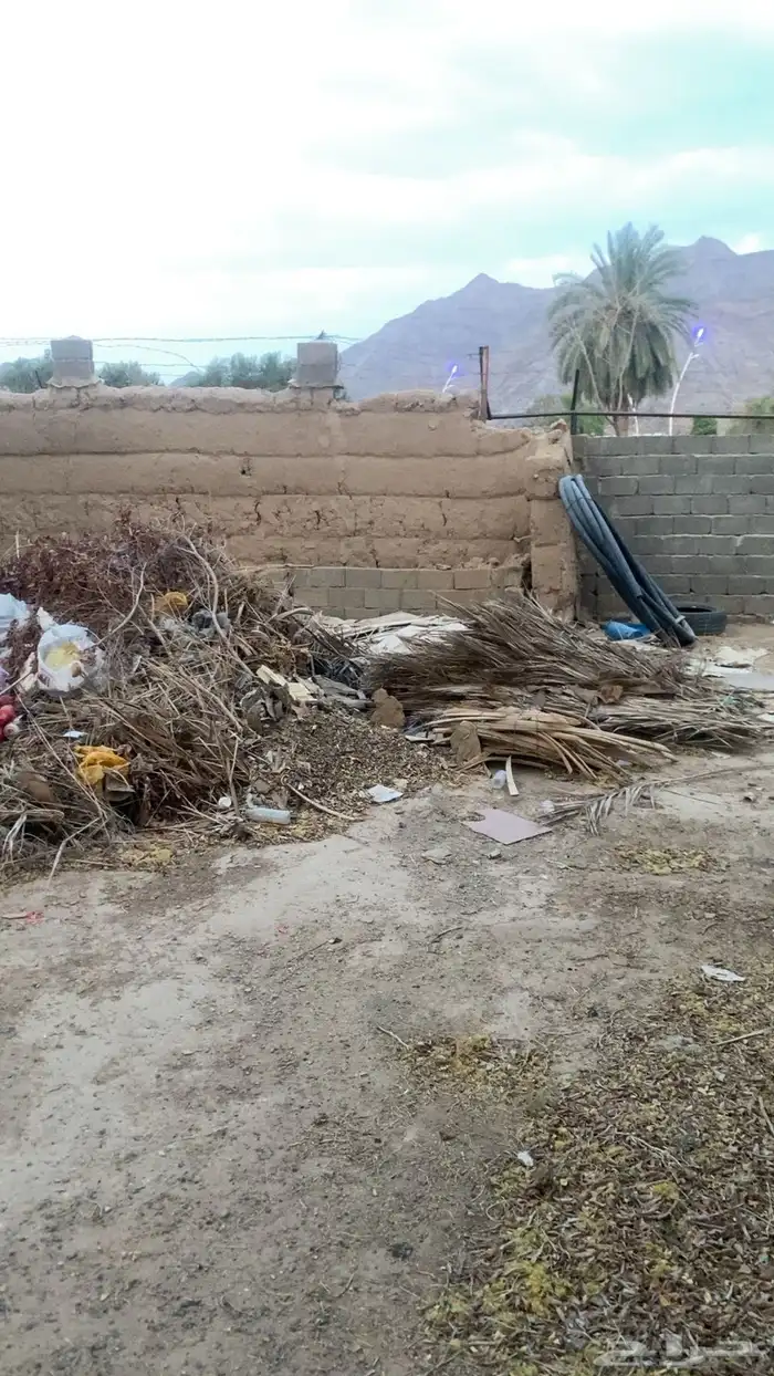 حطب و خوص للبيع 1