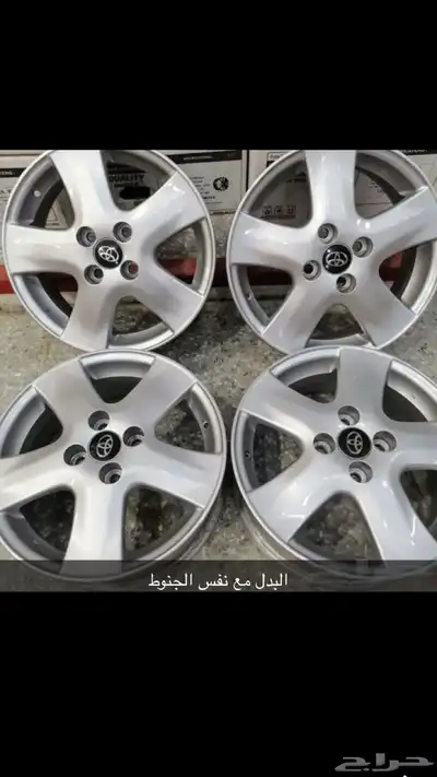 جنوط كروم راكبه ع يارس 2010 4
