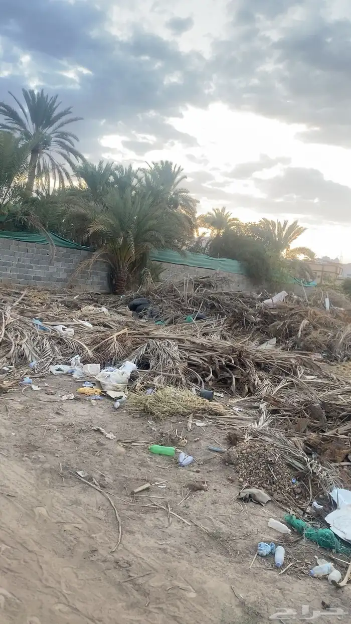 حطب و خوص للبيع 0