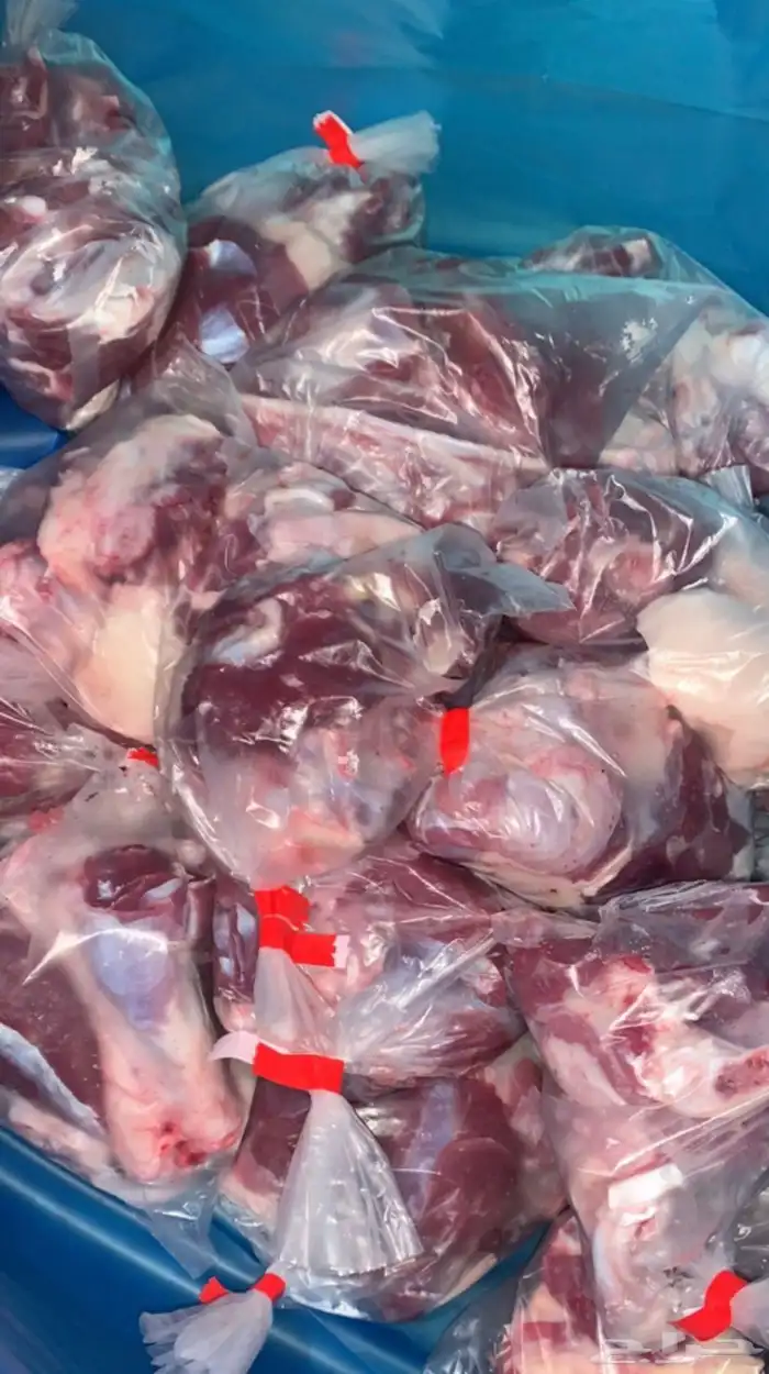 ذبايح الرس ذبايح القصيم 7