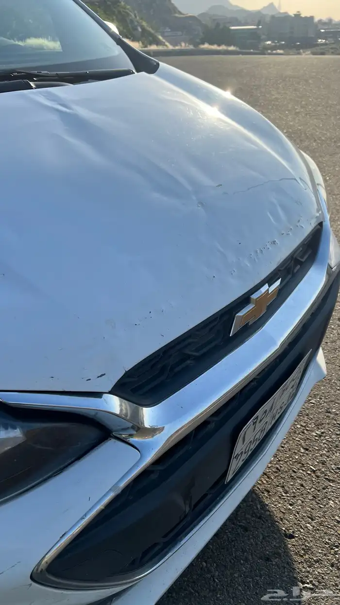 سبارك 2019 0