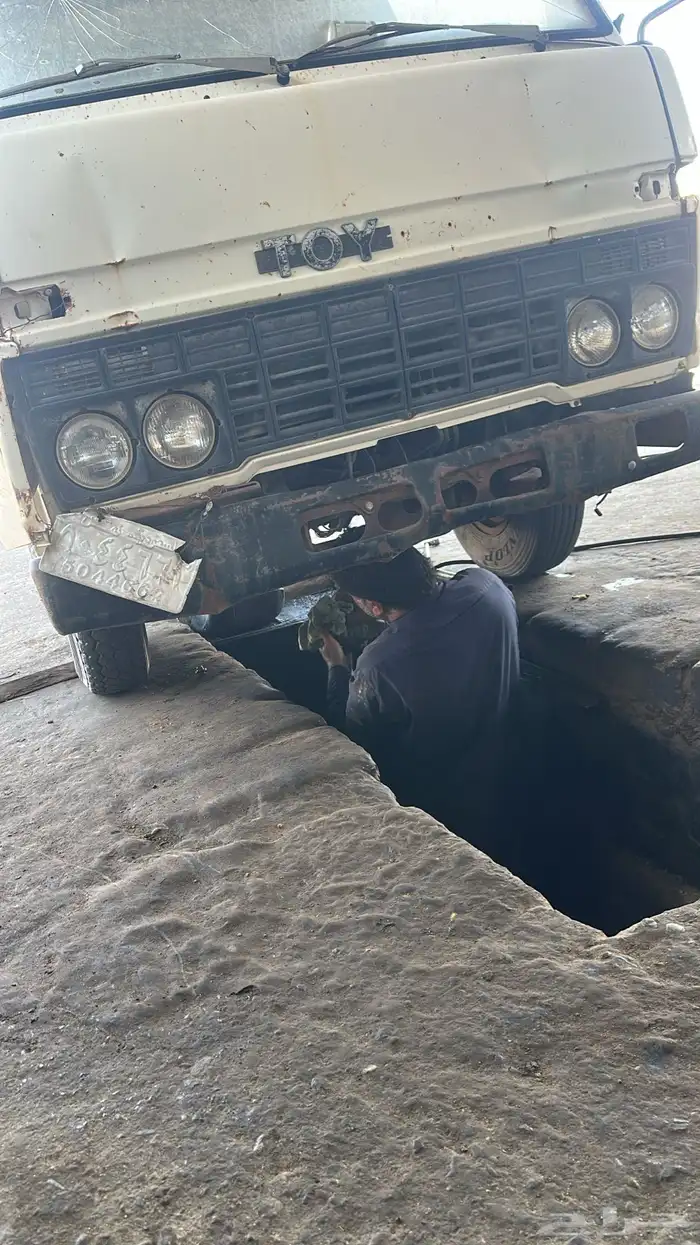 دينا مويل 94 0