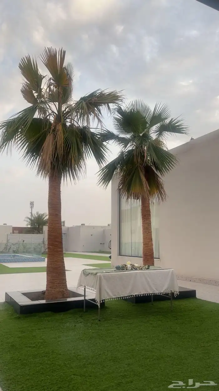 شاليه - منتجع 16