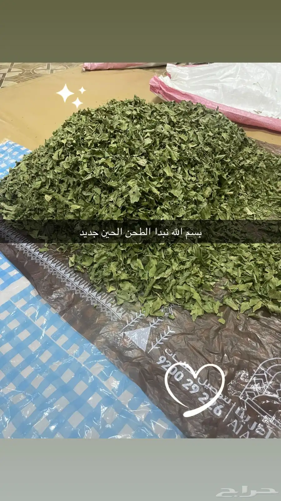 سدر بلدي شغل بيت نظيف جدا انا بنفسي انظفه وطحنه 4