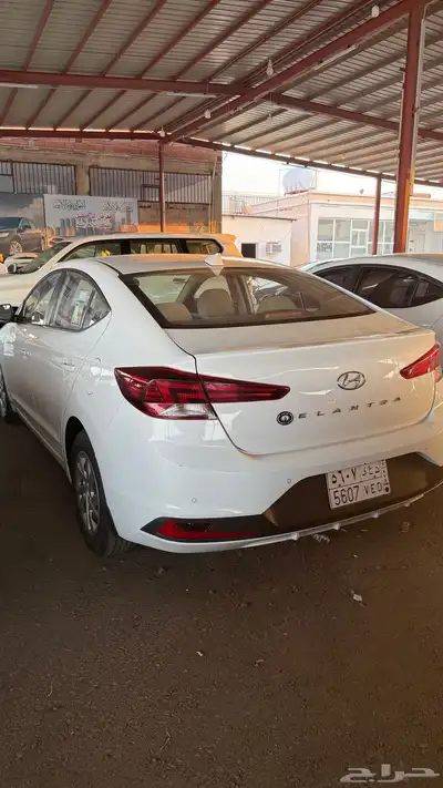 النترا 2019 بدي بلد 1