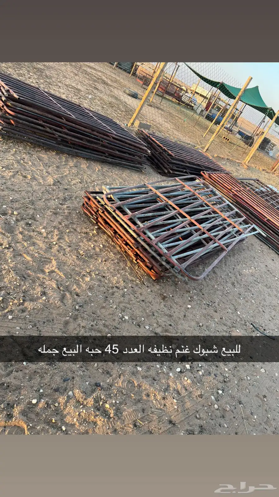 شبوك غنم درف نظيفه 0