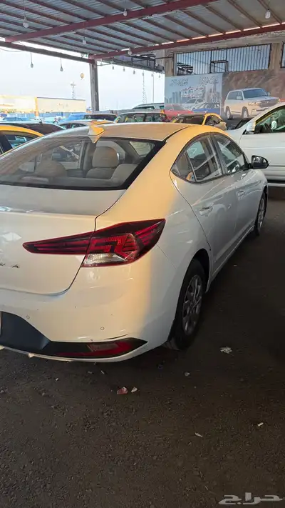 النترا 2019 بدي بلد 2