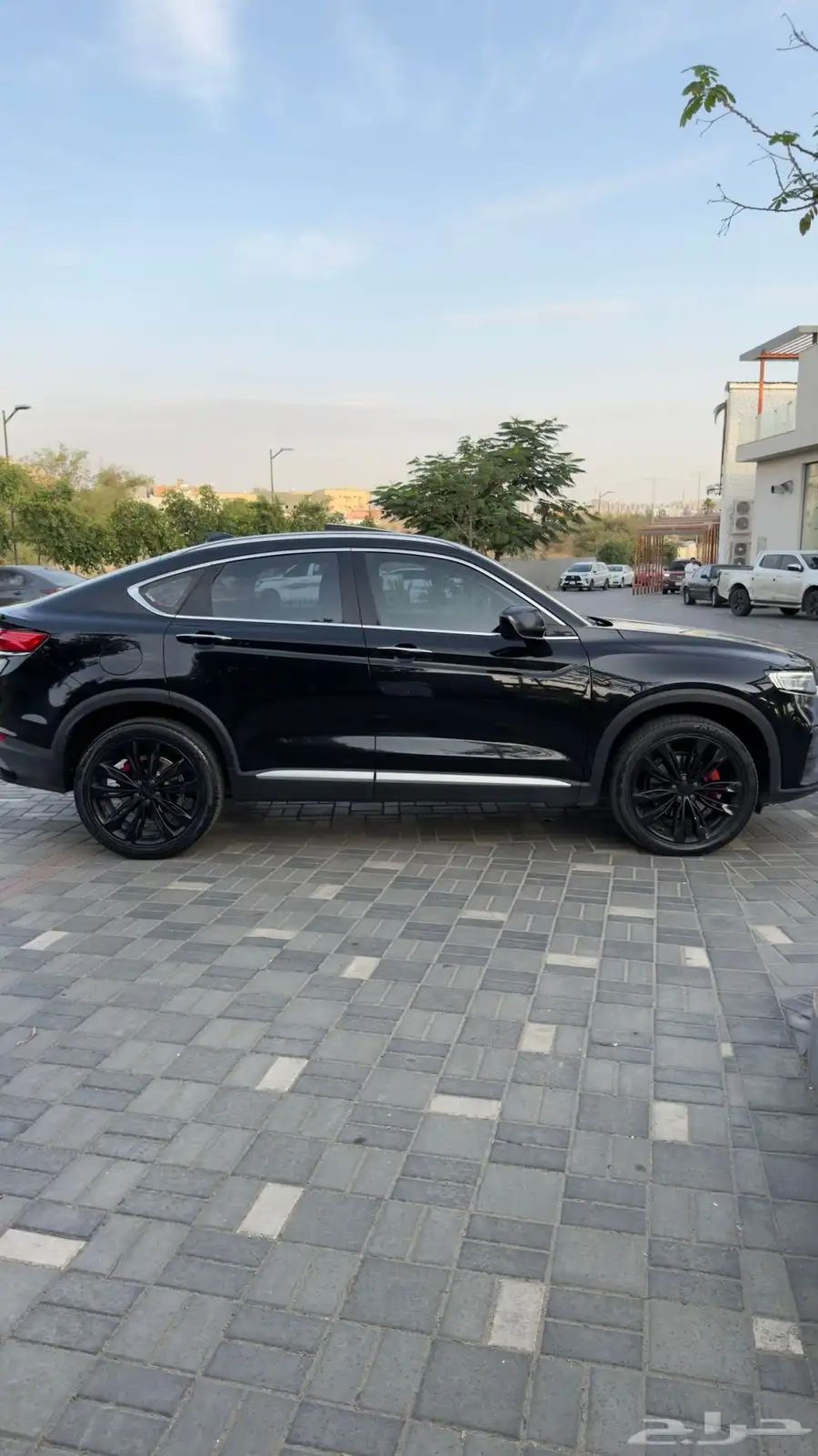جلي توجيلا 2022 فل كامل 8