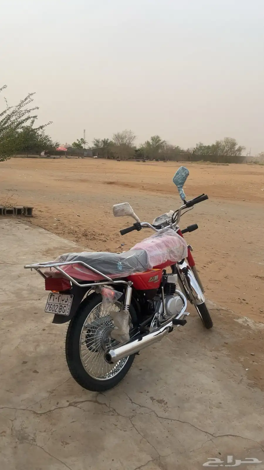 دباب 100x البيع معا اللوحه والجمركه الدباب نظيف 2