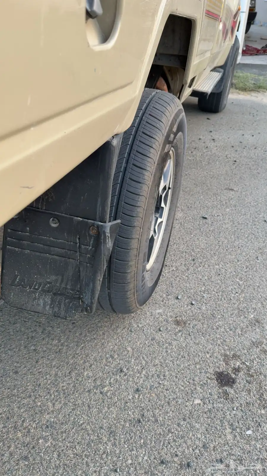 جنوط شاص وربع شرط نضيف 2