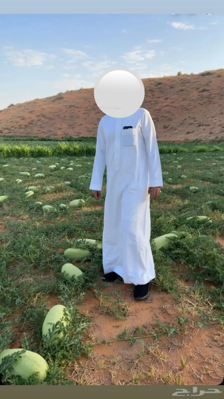 انا مسوق فقط جح حبحب حايل سكري 1
