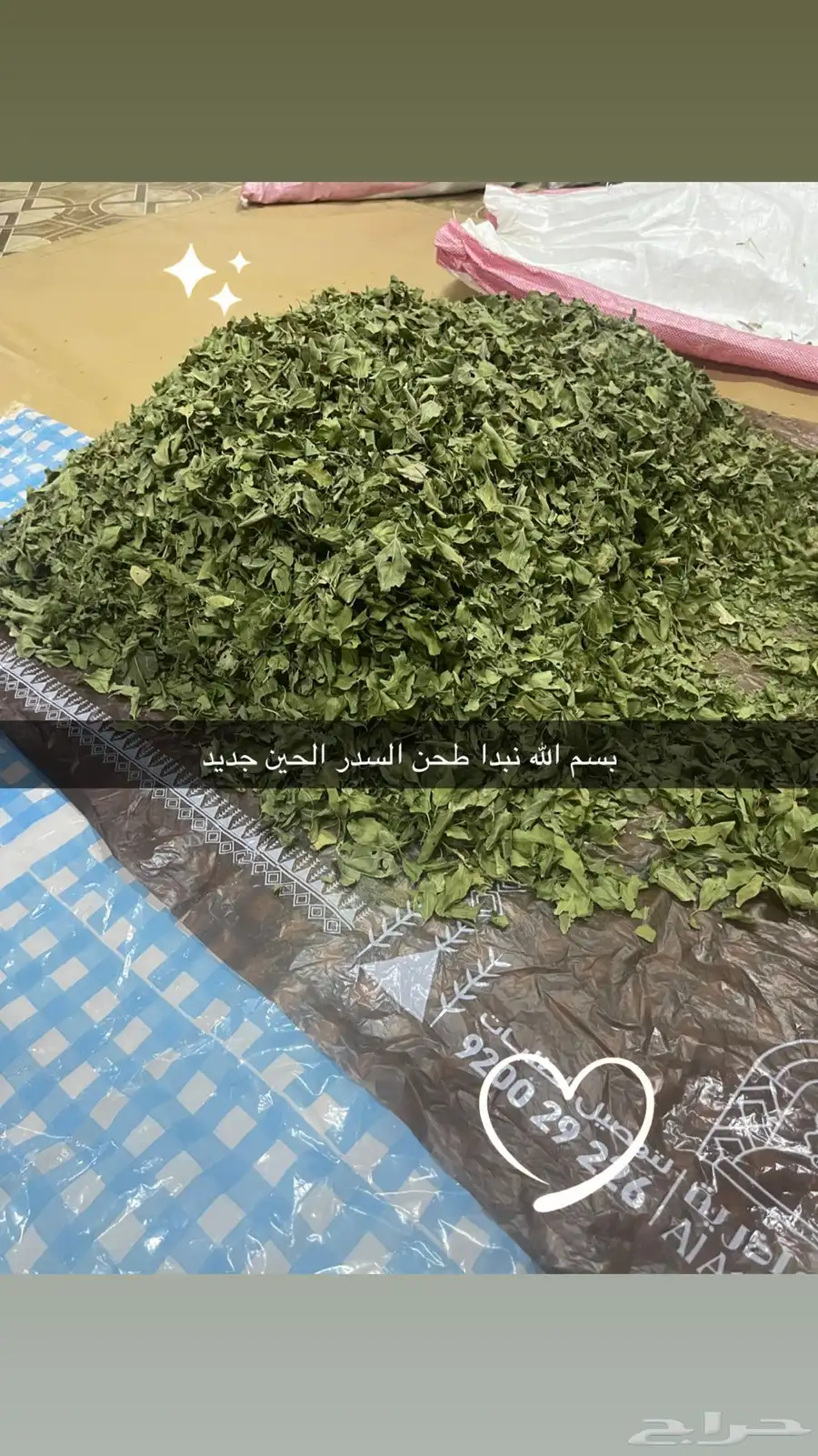 سدر بلدي شغل بيت نظيف جدا انا بنفسي انظفه وطحنه 3