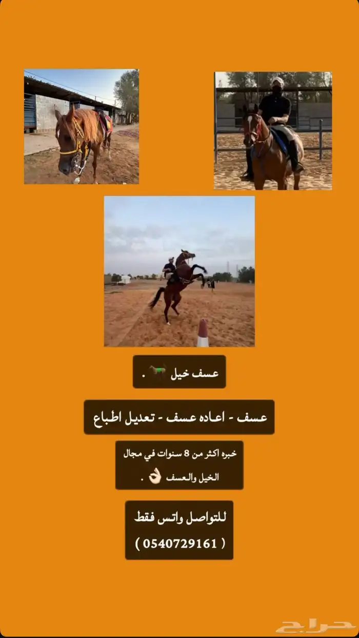 عسف خيل 0