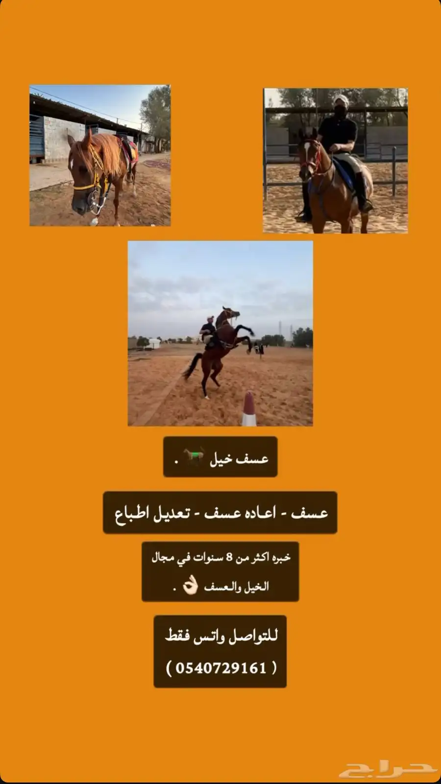 عسف خيل 0