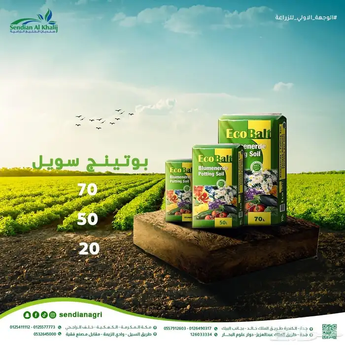 مصمم جرافيك 26