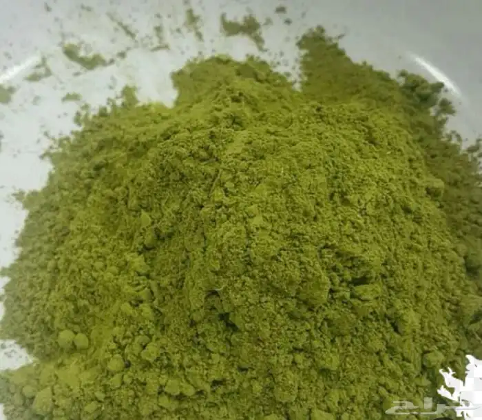 حناء   حناء ينبع النخل 2