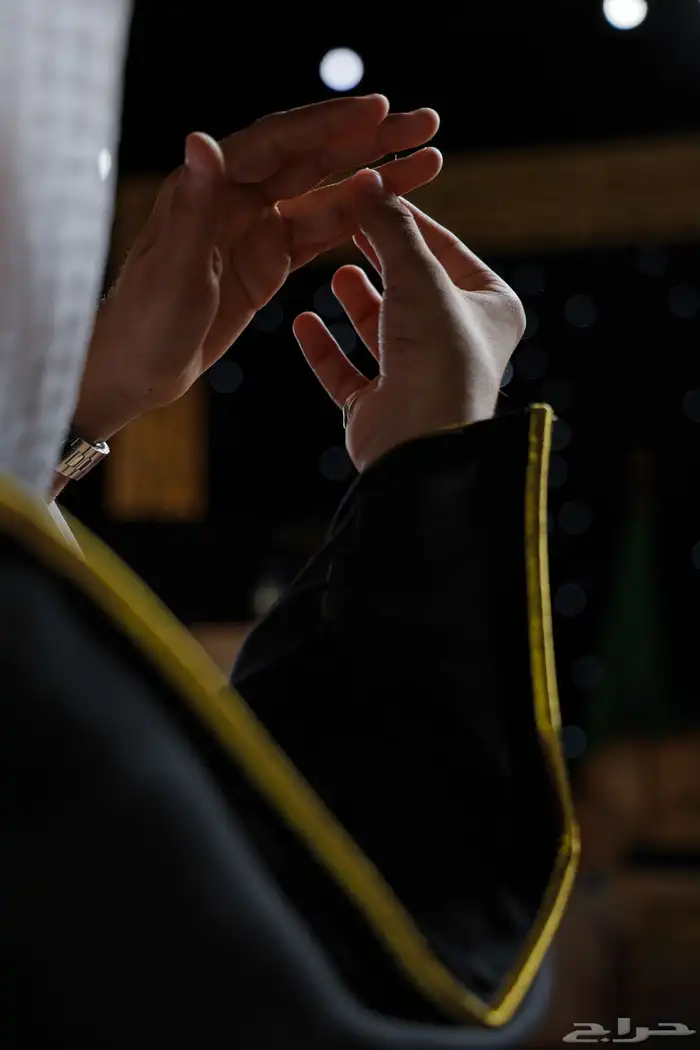 مصور 2
