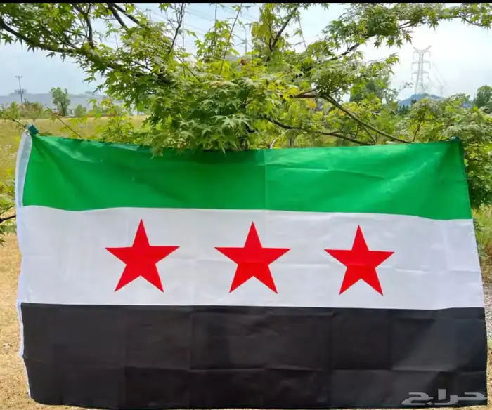علم سوريا 0