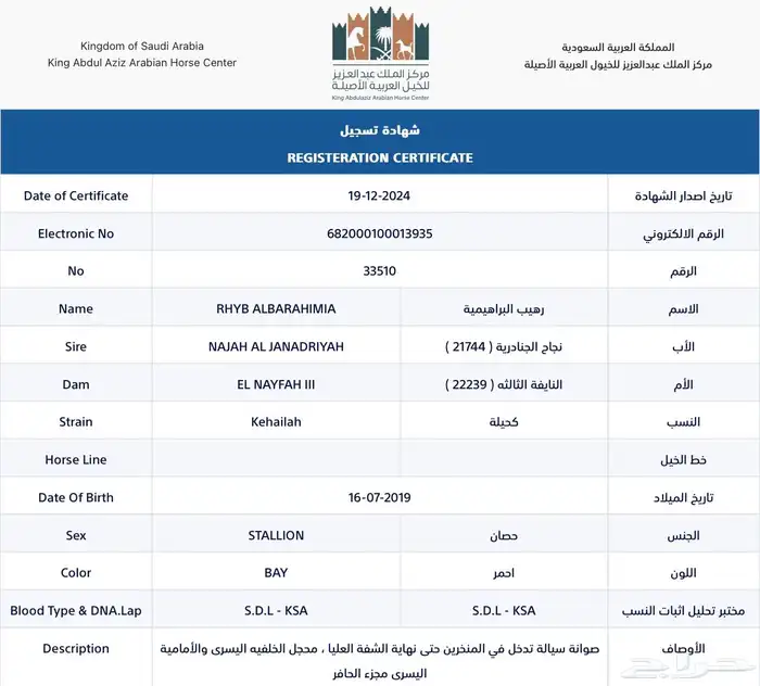حصان واهو 4