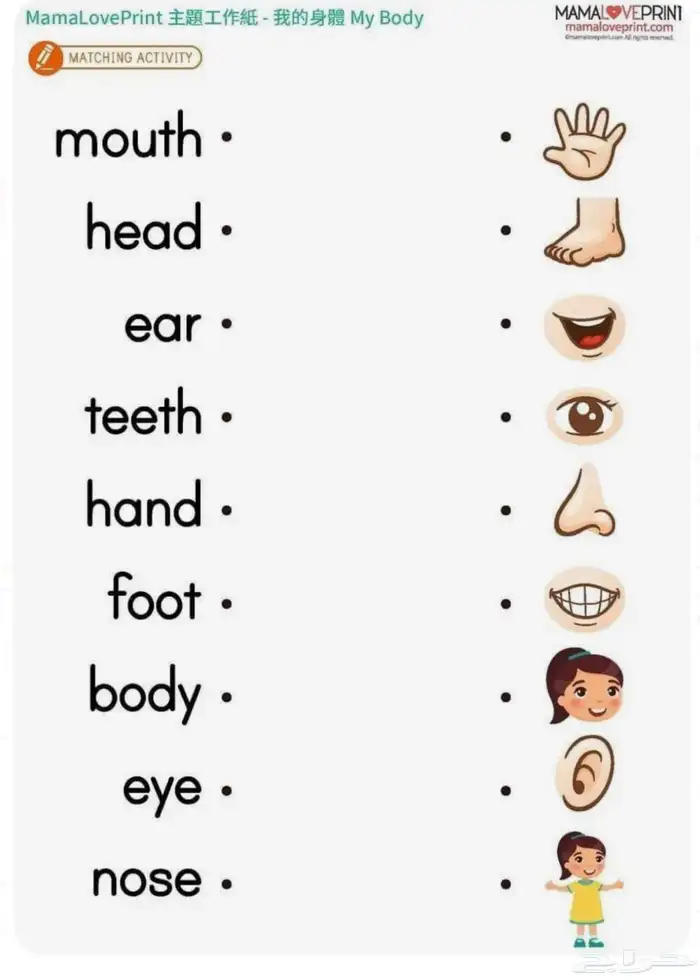 معلمه إنجليزي 2