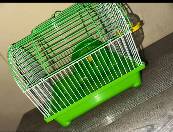 حيوانات أليفة هامستر 15