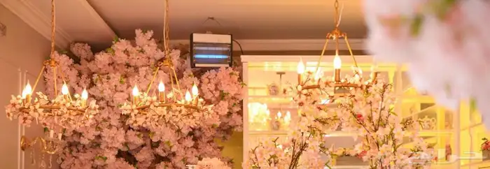 ثريات جميله من بوتري بارن 0