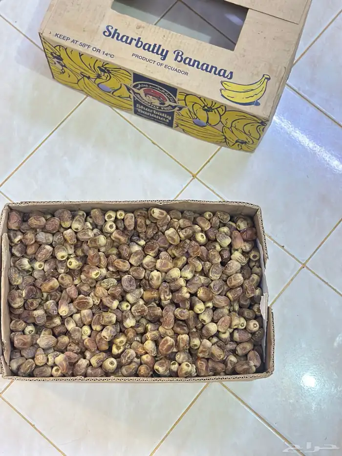 تمر شيشي درجه 1 2