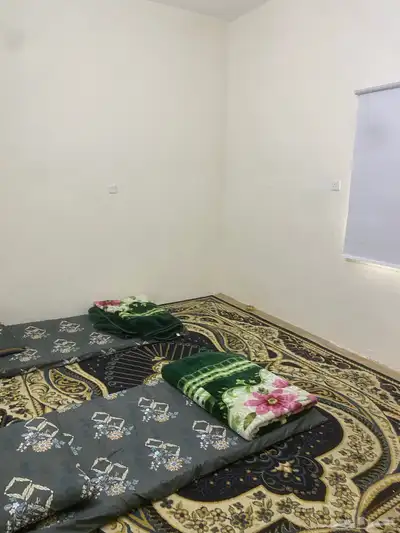 دور 2