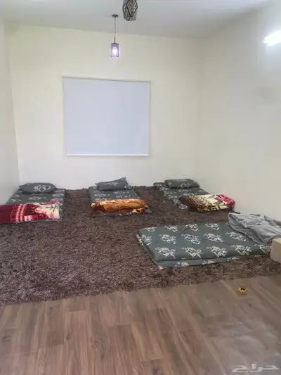 دور 6