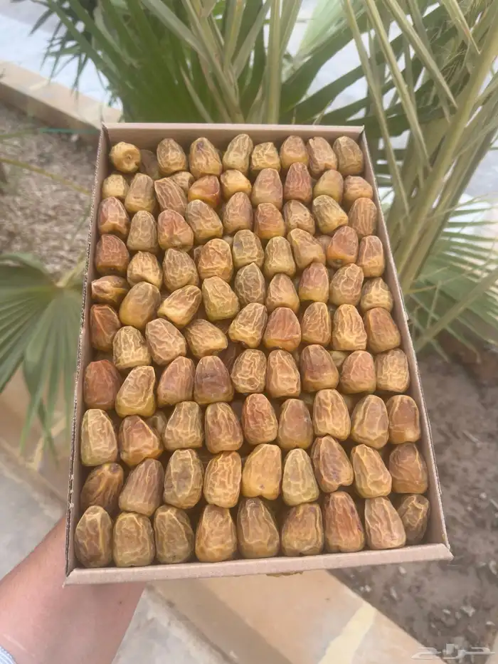 إخلاص الخرج شي فااخر 2