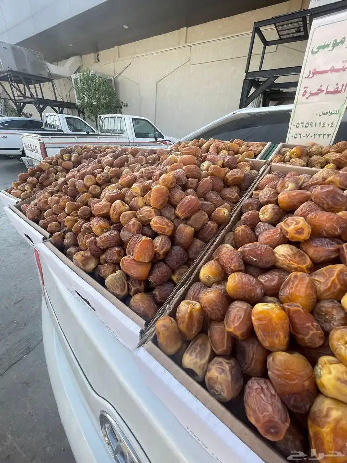 العدد 8 كراتين 0
