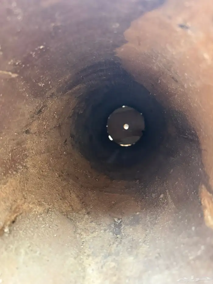 عيدان نحل 3