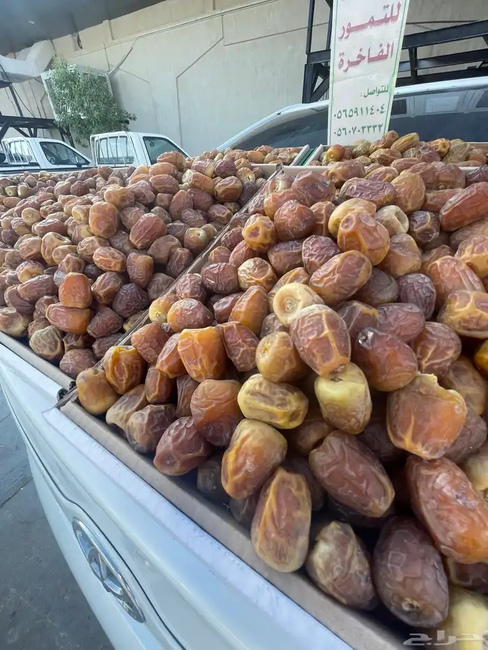 العدد 8 كراتين 1