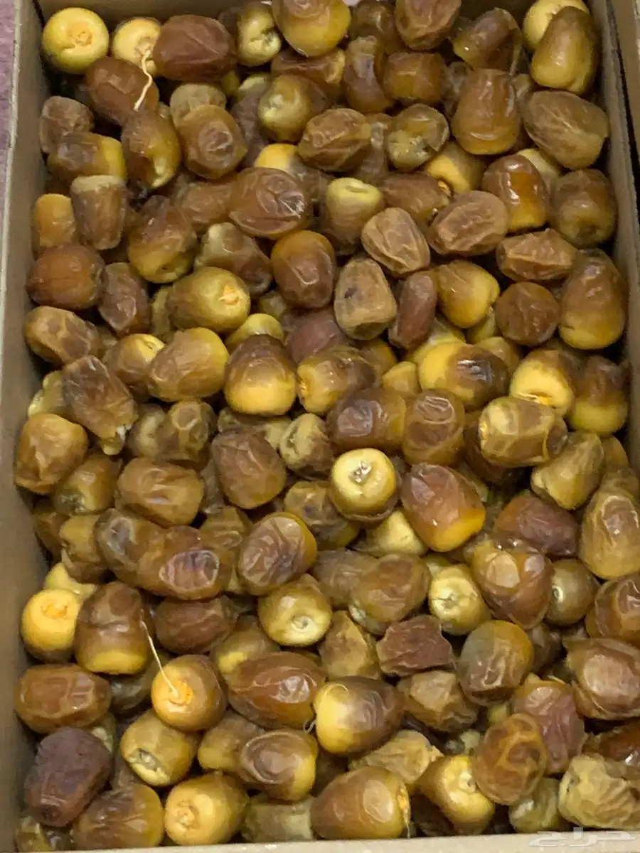 رطب سكري فاخر كميه محدوده 3