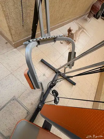 جهاز رياضي 1