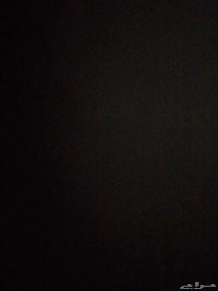 بلبول انثى تربيه 0
